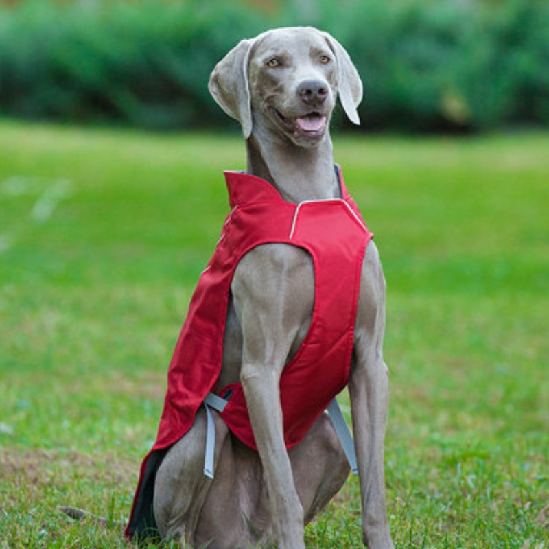 Classic Style Reflective Dog Coat Wodoodporna regulowana zimowa kurtka psa odwracalna lekka